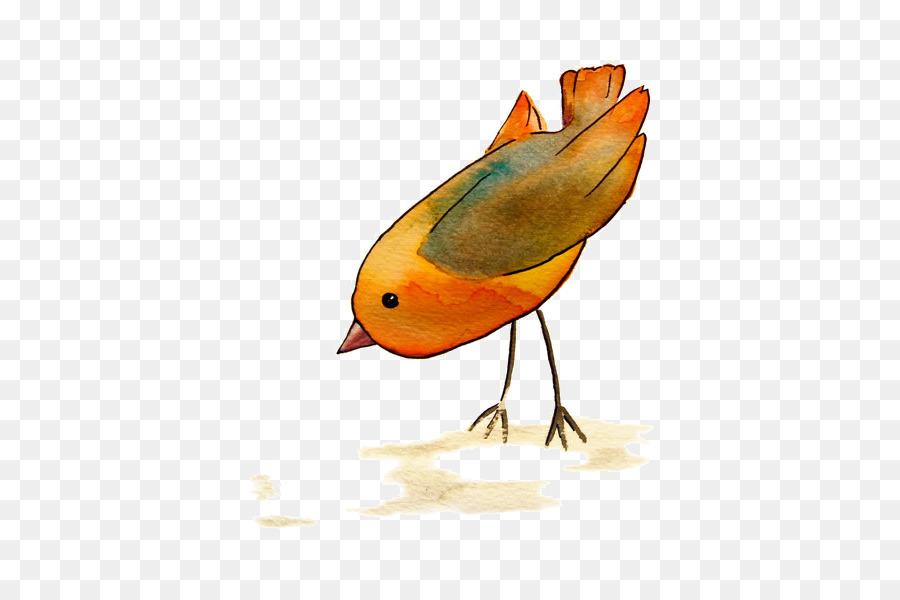 Européenne Robin，Oiseau PNG