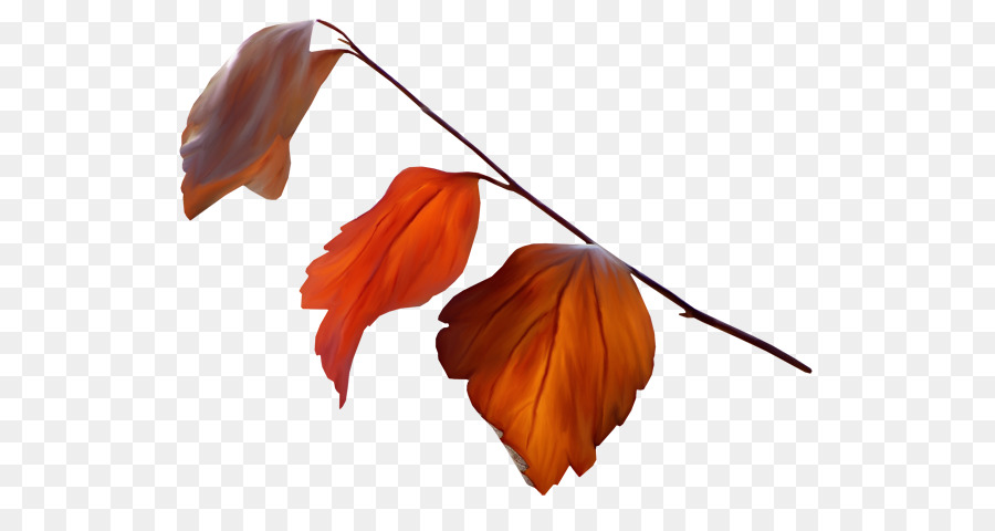 Feuilles D'automne，Brun PNG