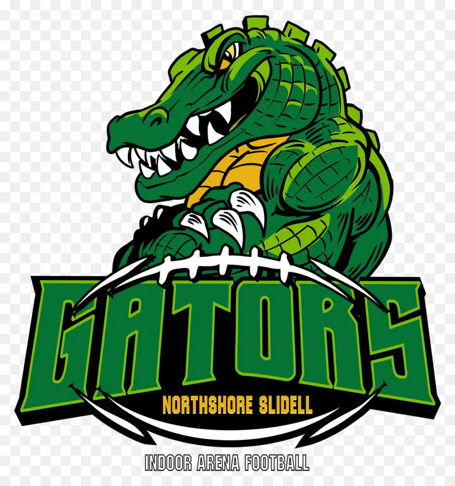 Logo Alligator，Football PNG