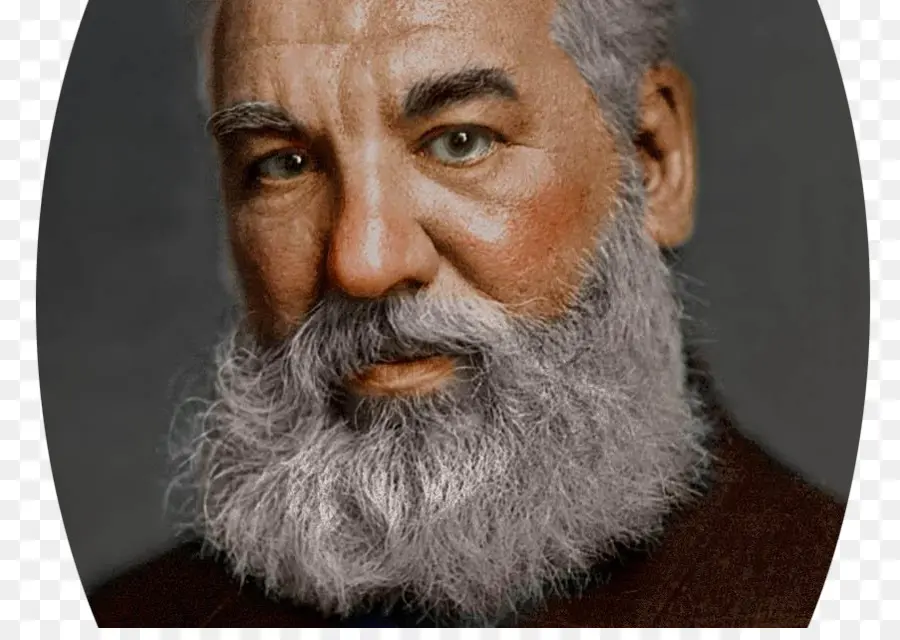 Barbu，Barbe PNG