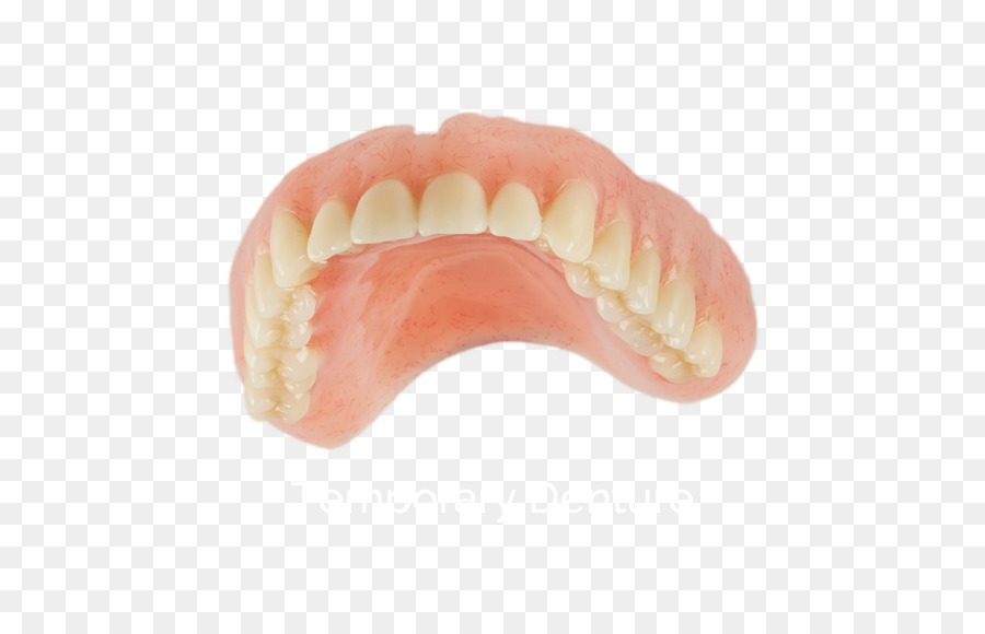 Les Prothèses Dentaires，Dents Humaines PNG