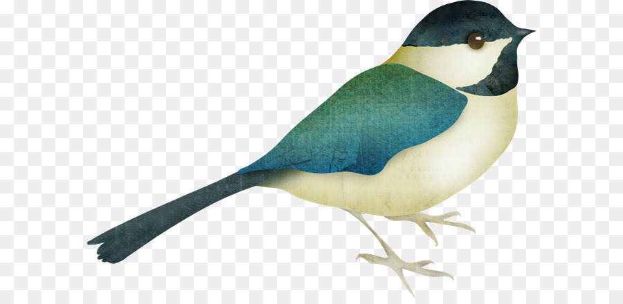 Oiseau，Animal PNG