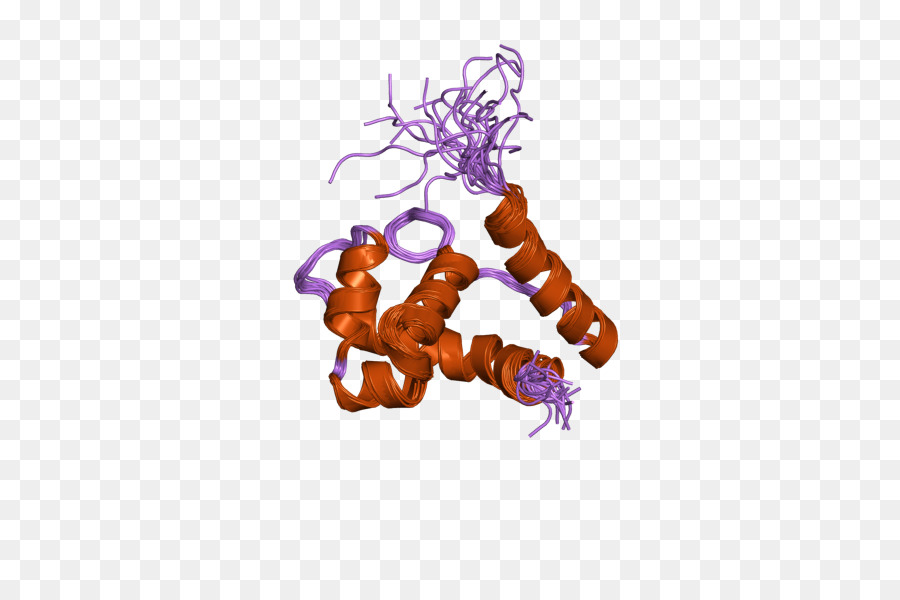 Structure Des Protéines，Molécule PNG