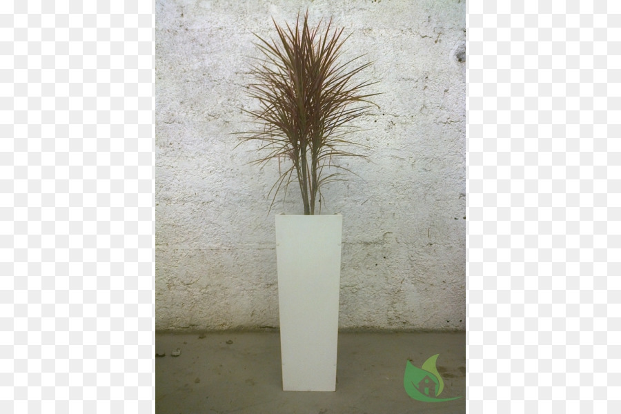 Herbes，Vase PNG