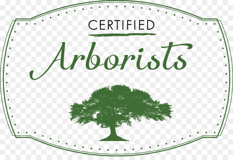 Arbre，Arboriste Certifié PNG