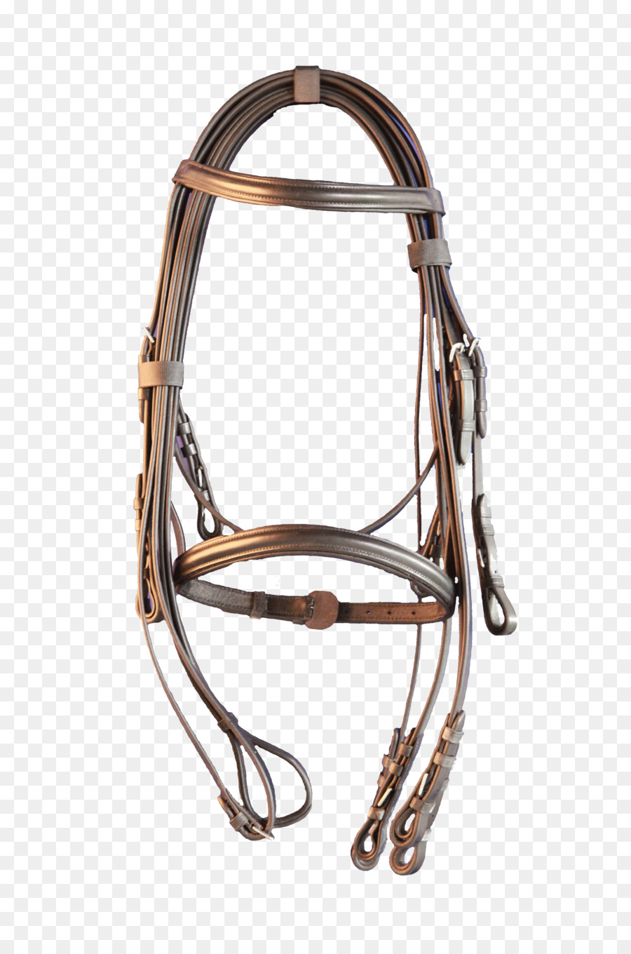 Licol De Cheval，Cuir PNG