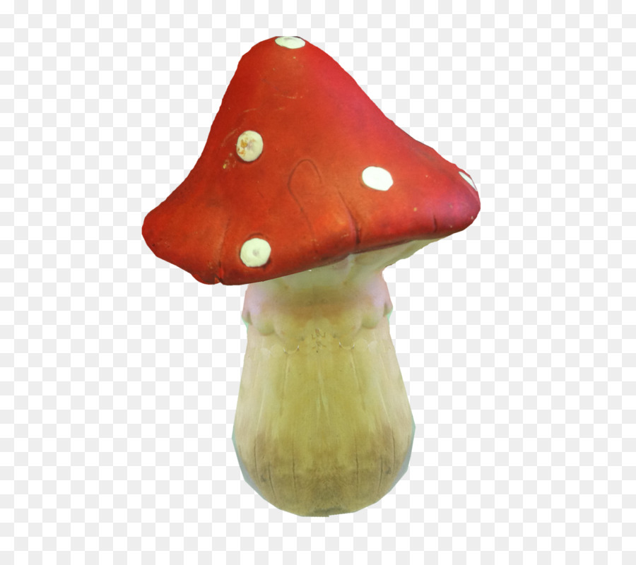 Champignon，L Image Numérique PNG