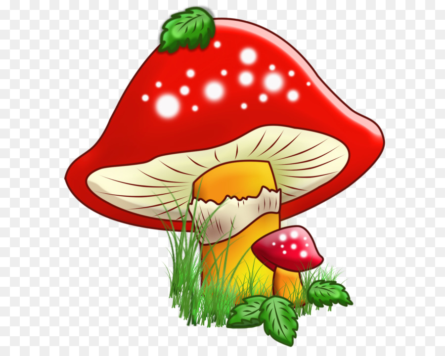 champignon dessin champignons png champignon dessin champignons transparentes png gratuit champignon dessin champignons png