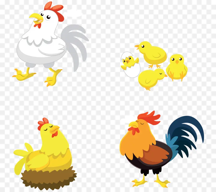 Poulets De Dessin Animé，Oiseaux PNG