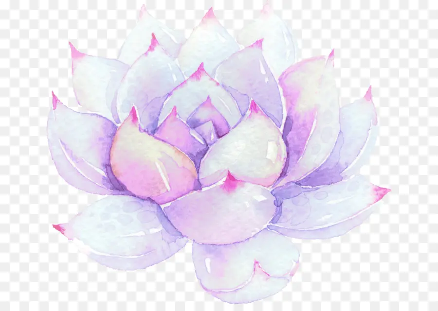 Fleur Aquarelle，Peinture PNG