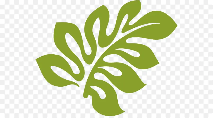 Feuille Verte，Usine PNG