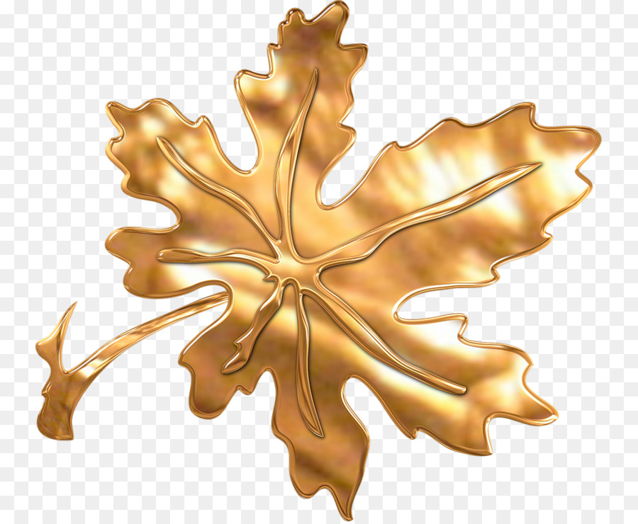 Feuille D'or，Brillant PNG