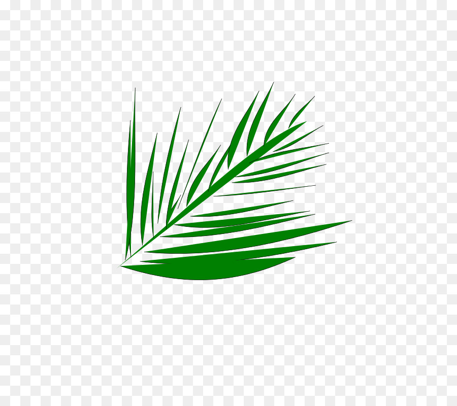 Feuille，Vert PNG