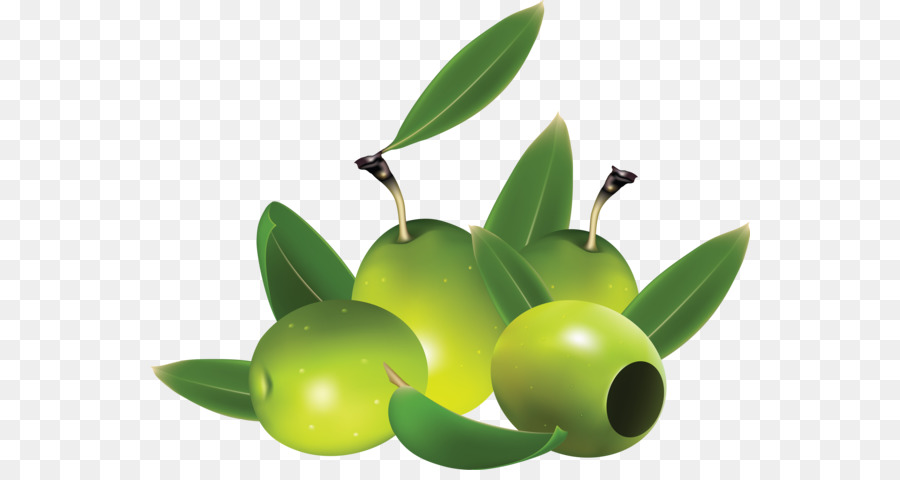 Olives Vertes，Feuilles PNG