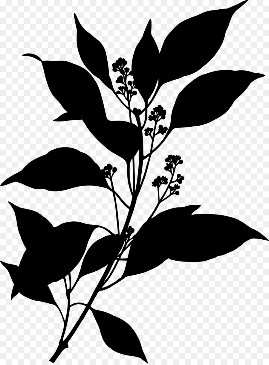 Silhouette De Plante，Feuilles PNG