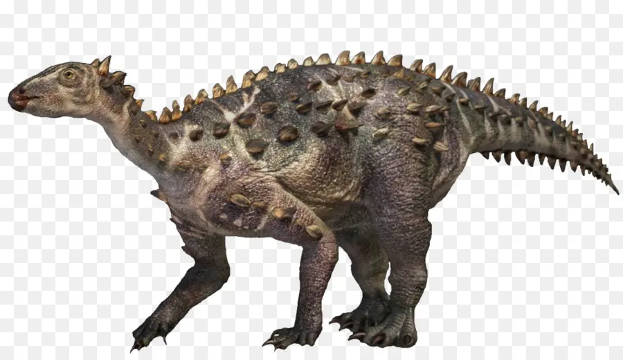 Edmontonia，Scelidosaurus PNG