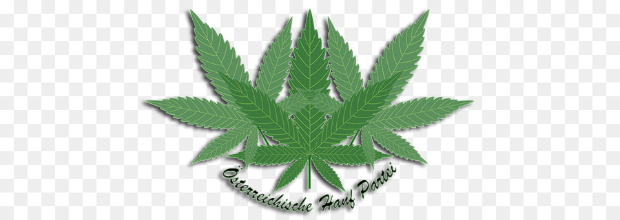 Le Cannabis，Le Cannabidiol PNG