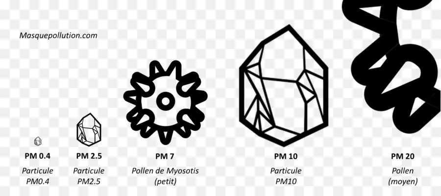 Particules De Pollen，Particules PNG