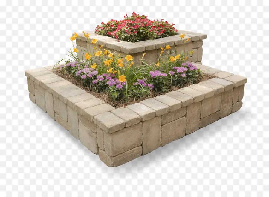 Parterre De Fleurs，Fleurs PNG