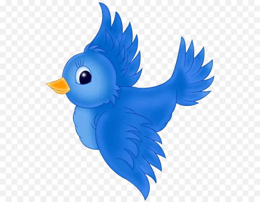 Oiseau Bleu，Vol PNG