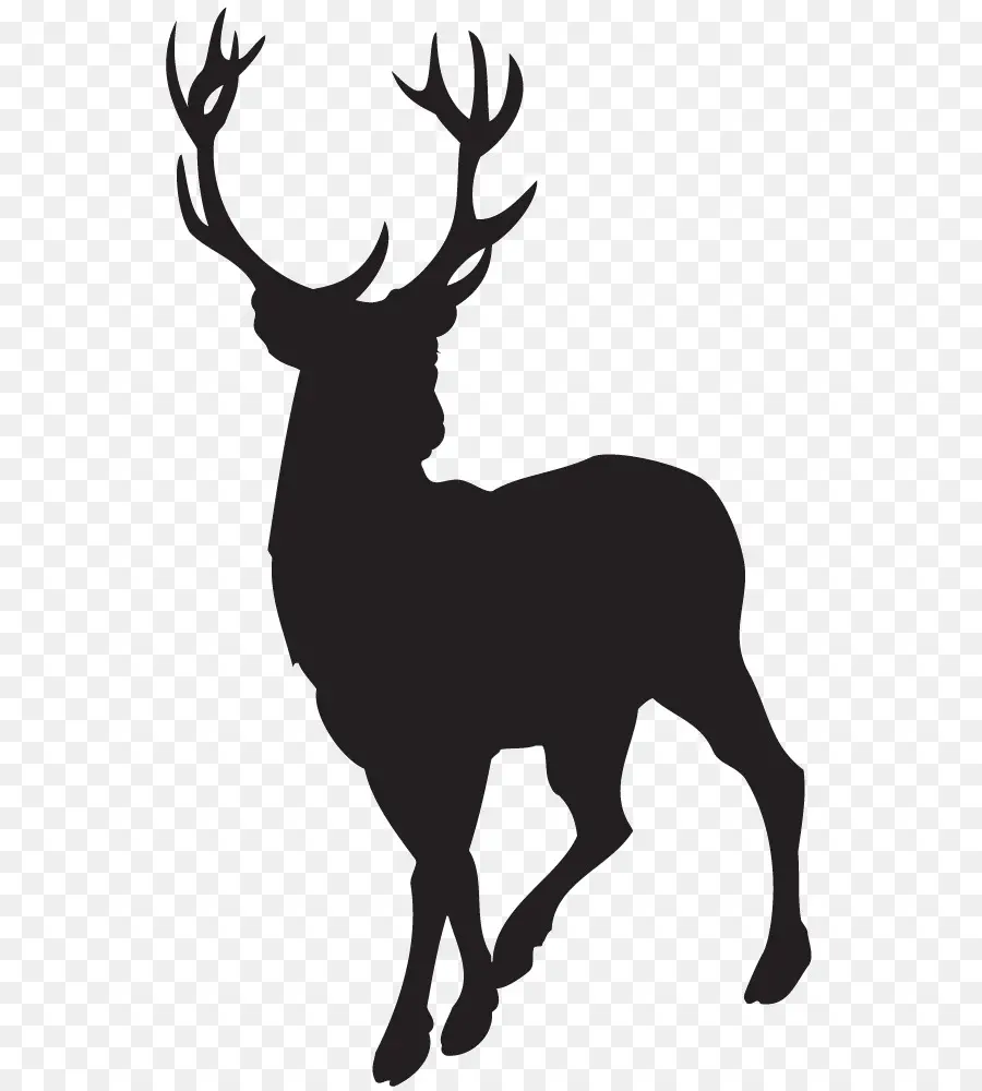 Silhouette De Cerf，Noir PNG