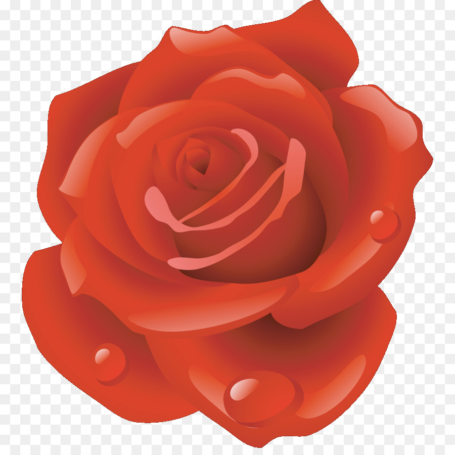 Rose Rouge，Fleurir PNG