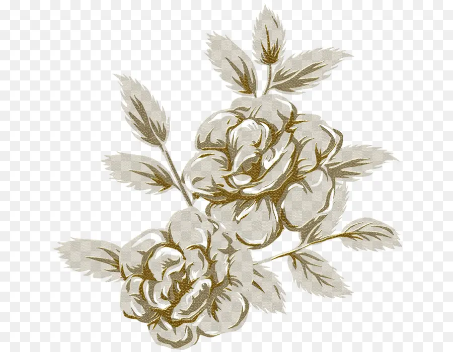 Fleurs，Roses PNG