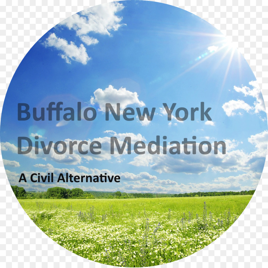 La Médiation，Buffalo Ny Divorce Médiation Blasdell PNG