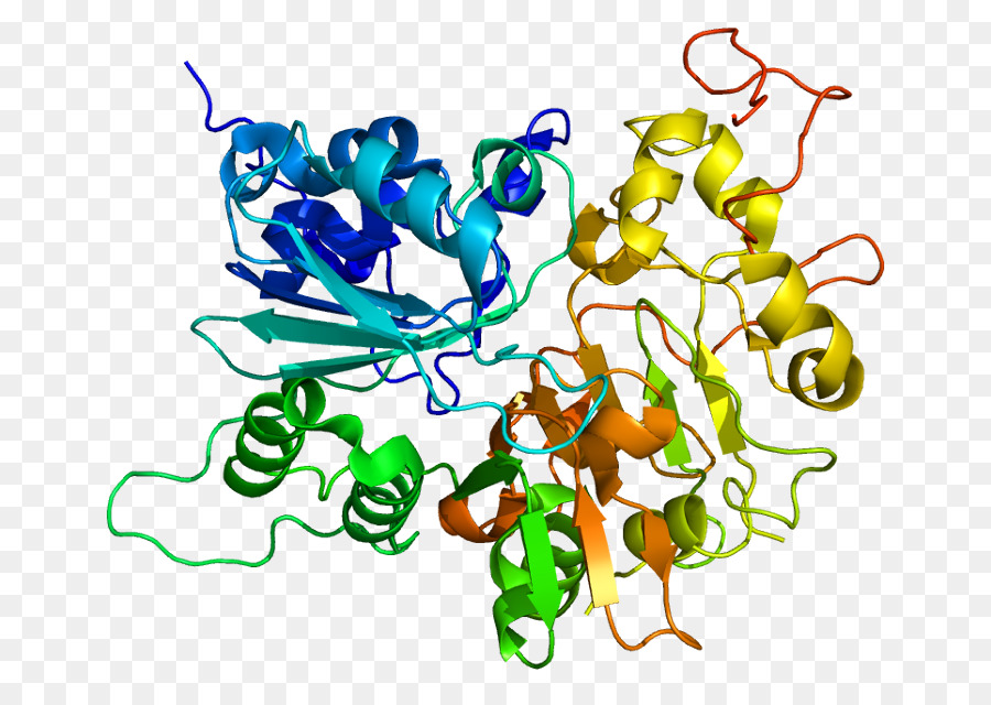 Mitochondrie，La Neurodégénérescence PNG