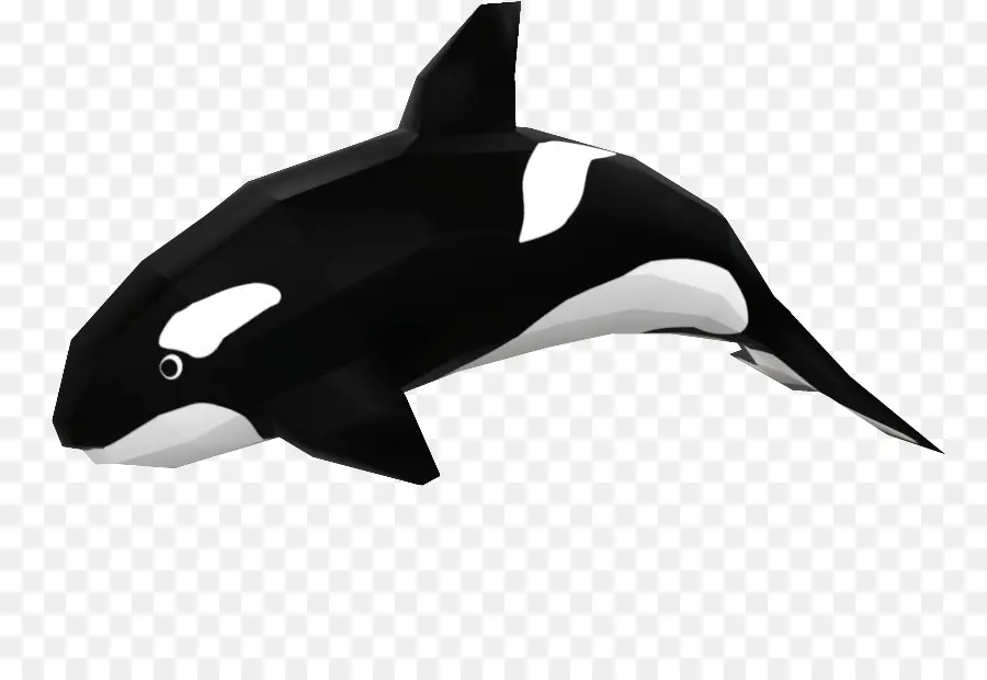 Orque，Baleine PNG