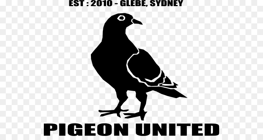 Pigeon United Logo，Pigeon PNG