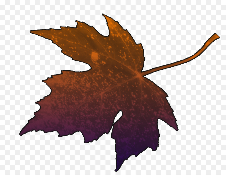 Feuille Rouge，Automne PNG