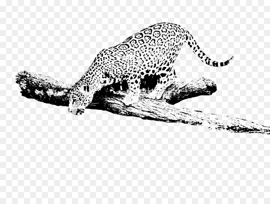 Léopard，Voitures Jaguar PNG