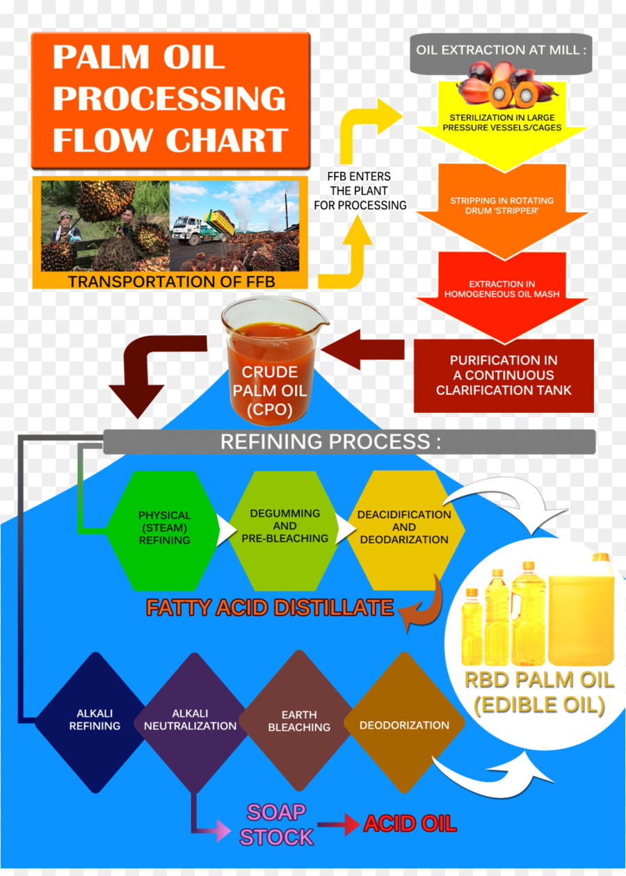 Traitement De L'huile De Palme，Processus De Raffinage PNG