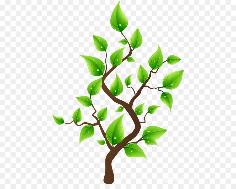 Arbre，Vent PNG