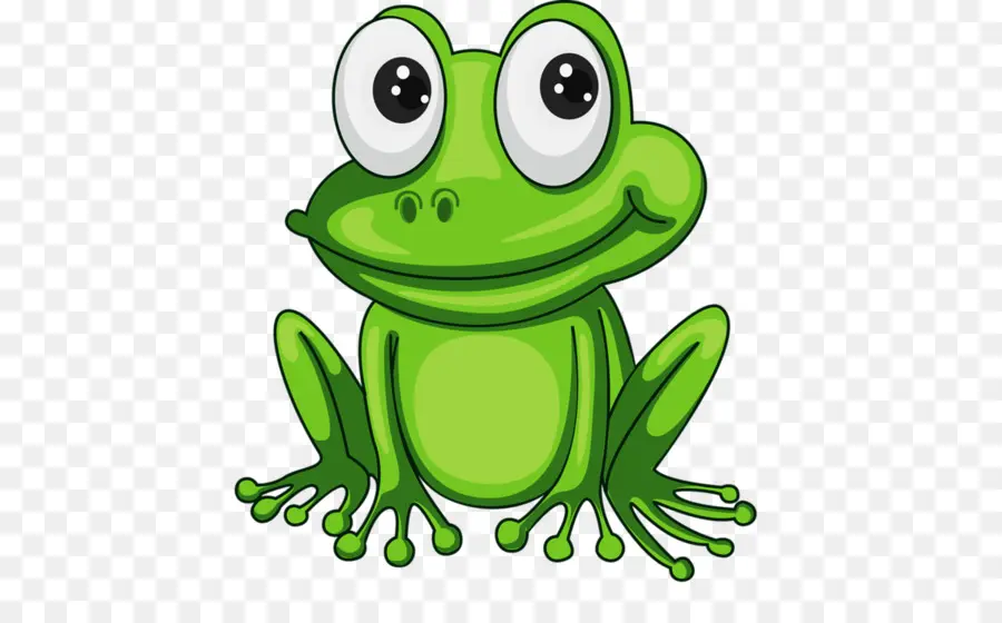 Grenouille，Bible PNG