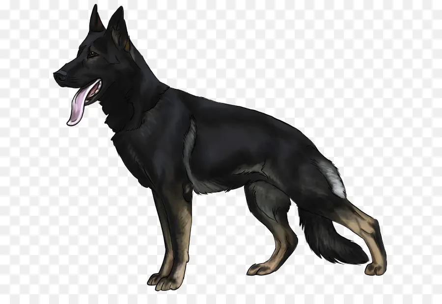 Chien，Animal De Compagnie PNG