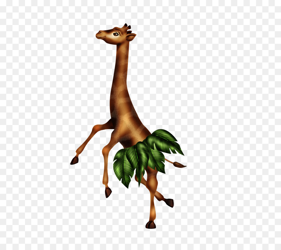 Girafe，Feuilles PNG