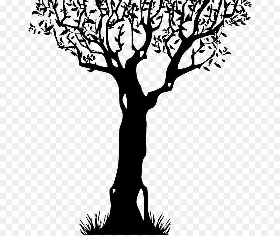 Silhouette D'arbre，Usine PNG