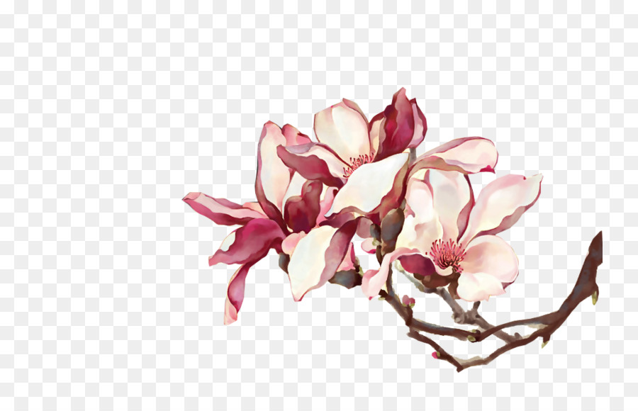 Fleurs Blanches，Fleurir PNG