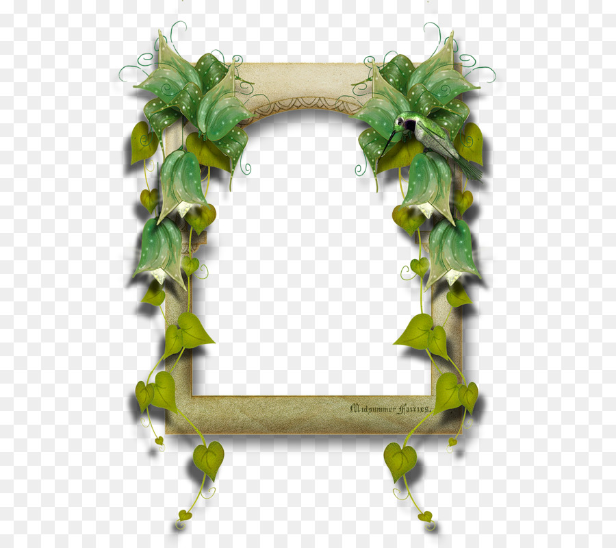 Plante，Feuille PNG