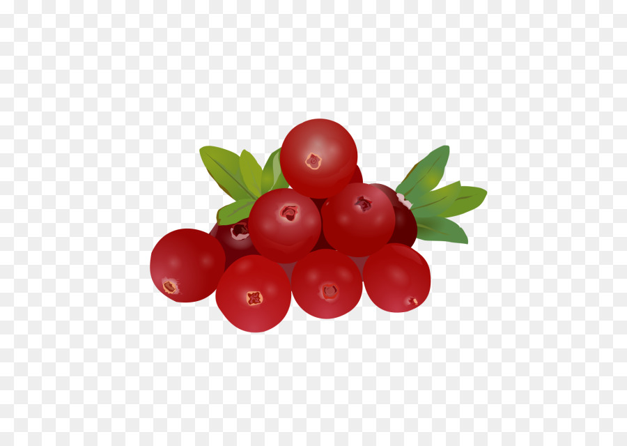 Fruits Rouges，Feuilles PNG