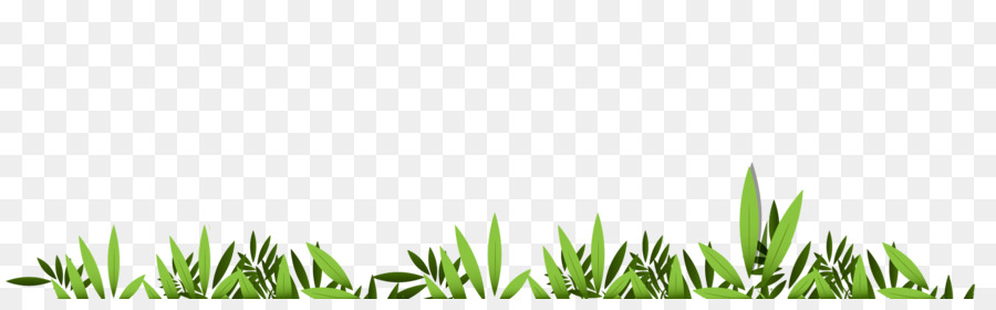 Bordure D'herbe，Fleurs PNG