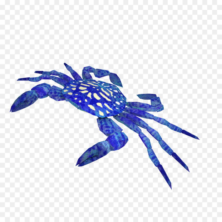 Crabe，Les Insectes PNG