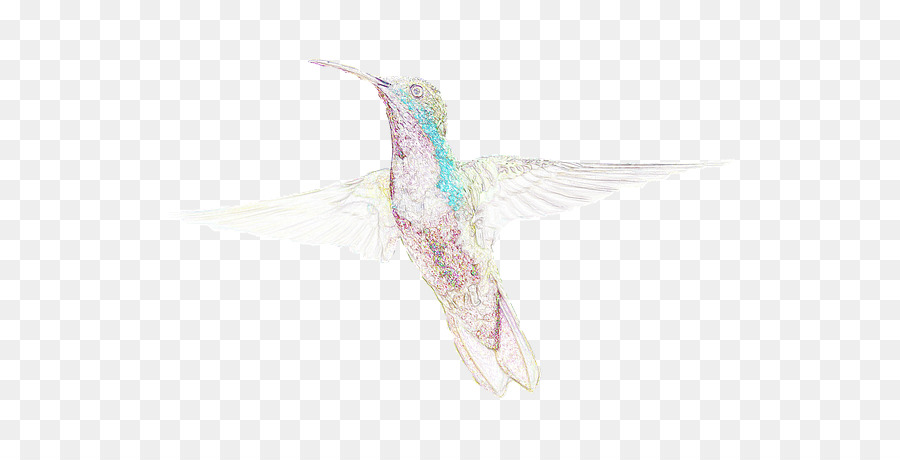 La Faune，Colibri M PNG