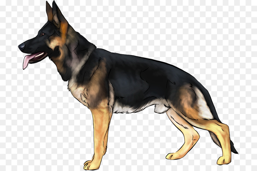 Berger Allemand，Chien PNG