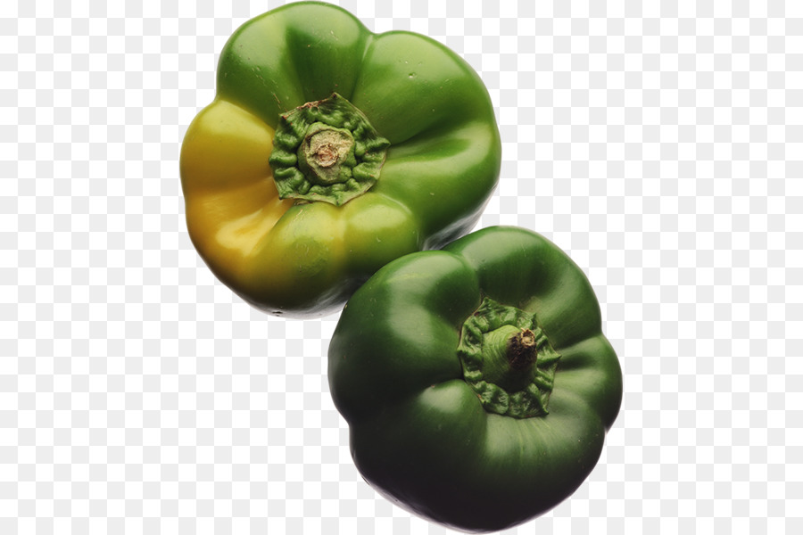 Plant De Tomate，La Nourriture PNG