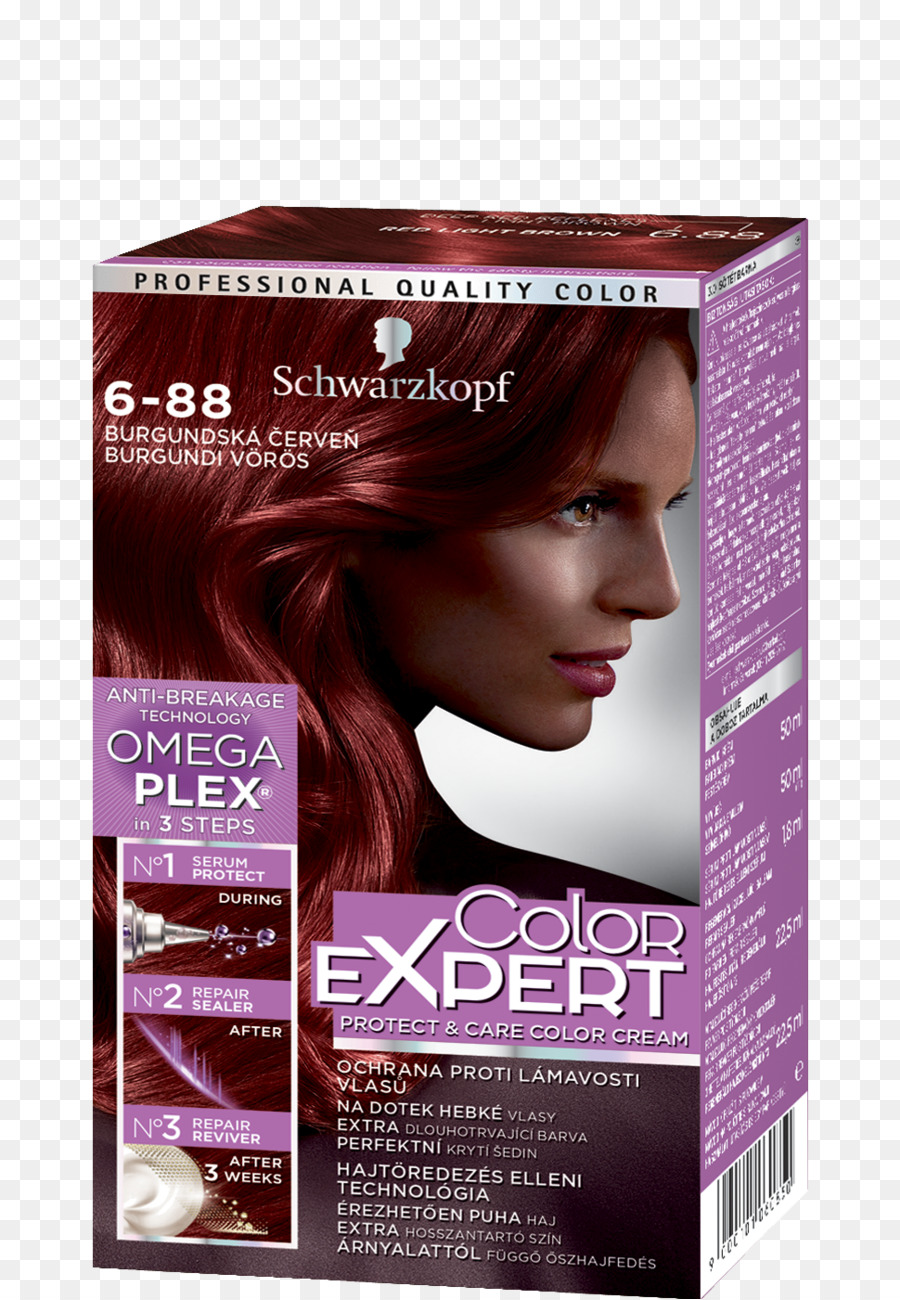 Coloration Des Cheveux，Schwarzkopf PNG