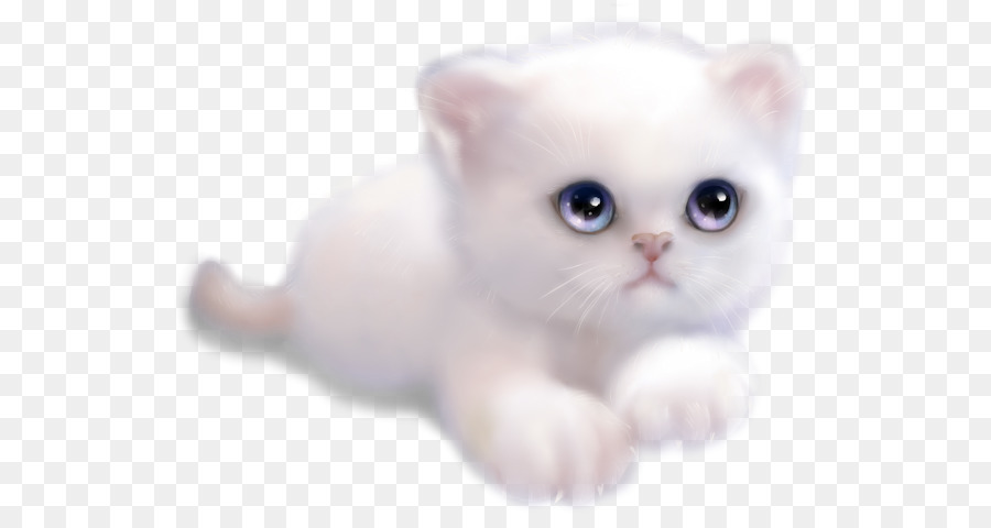 Chaton Blanc，Mignon PNG