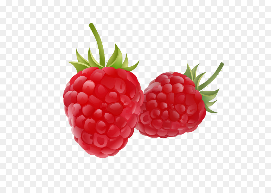 framboise dessin fruits png framboise dessin fruits transparentes png gratuit framboise dessin fruits png